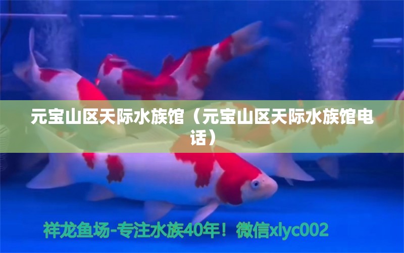 元寶山區(qū)天際水族館（元寶山區(qū)天際水族館電話）