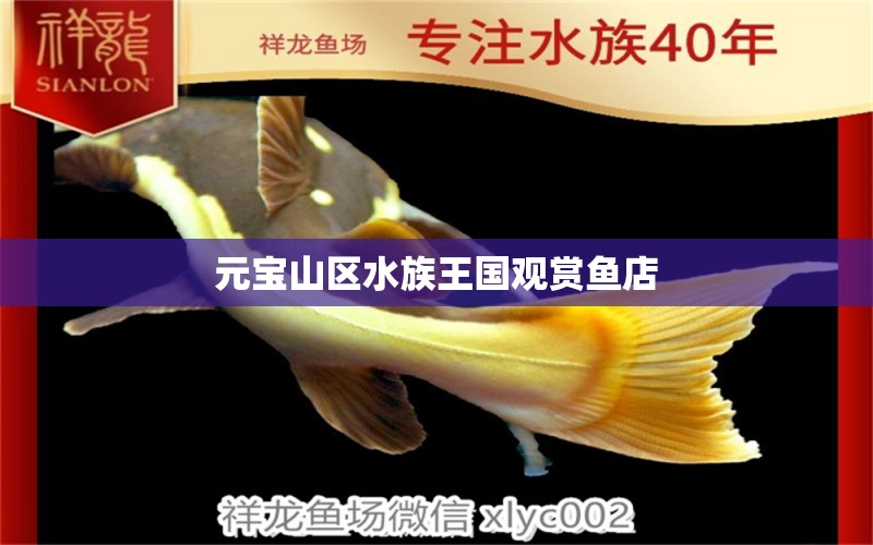 元寶山區(qū)水族王國(guó)觀賞魚(yú)店 全國(guó)水族館企業(yè)名錄