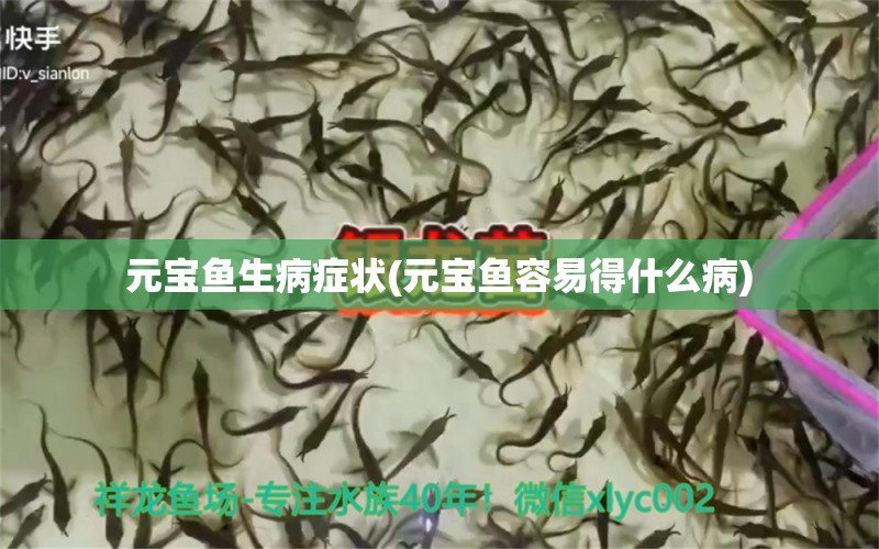 元寶魚(yú)生病癥狀(元寶魚(yú)容易得什么病) 水草