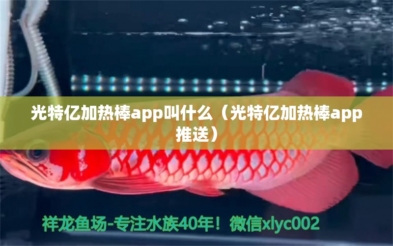 光特億加熱棒app叫什么（光特億加熱棒app推送）