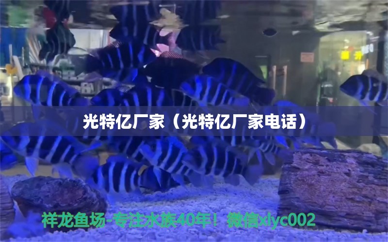 光特億廠家（光特億廠家電話）