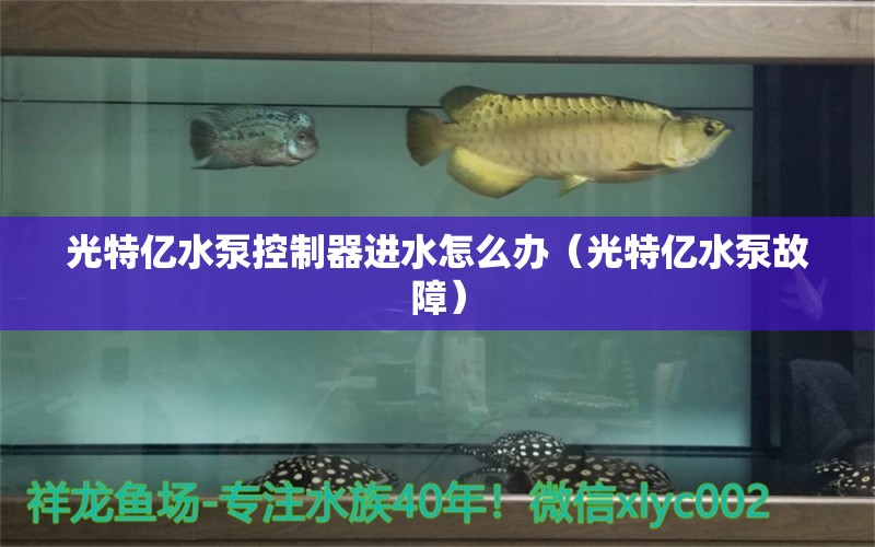 光特億水泵控制器進(jìn)水怎么辦（光特億水泵故障） 光特億