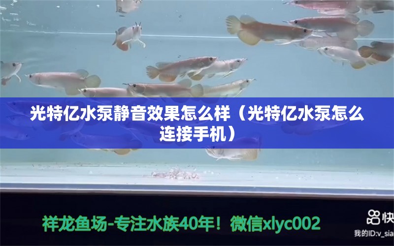 光特億水泵靜音效果怎么樣（光特億水泵怎么連接手機(jī)）