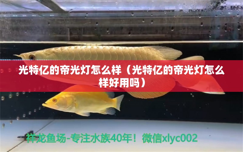 光特億的帝光燈怎么樣（光特億的帝光燈怎么樣好用嗎）