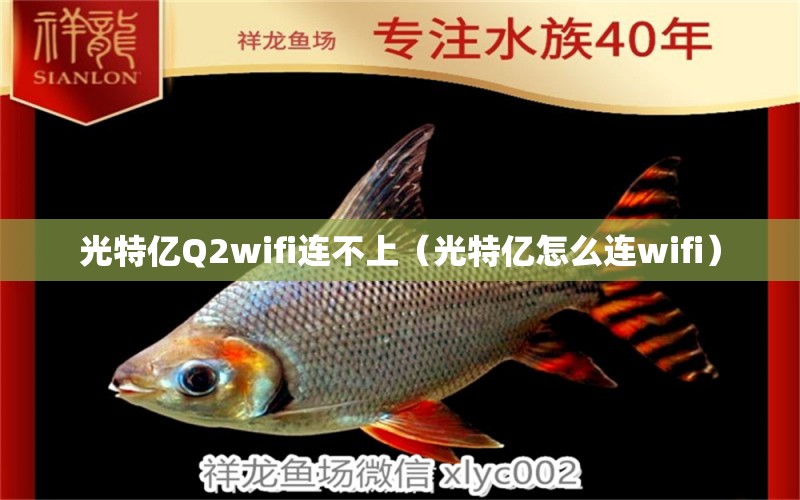 光特億Q2wifi連不上（光特億怎么連wifi）