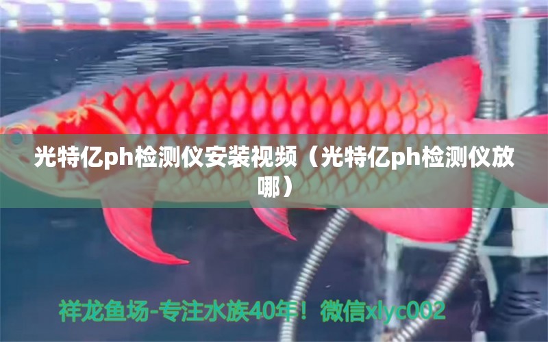 光特億ph檢測儀安裝視頻（光特億ph檢測儀放哪）