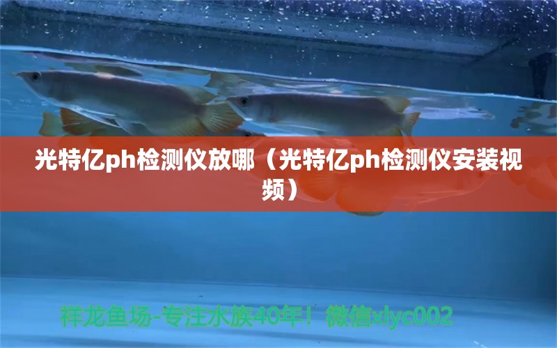 光特億ph檢測儀放哪（光特億ph檢測儀安裝視頻） 光特億