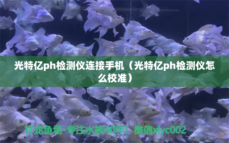 光特億ph檢測儀連接手機（光特億ph檢測儀怎么校準(zhǔn)）