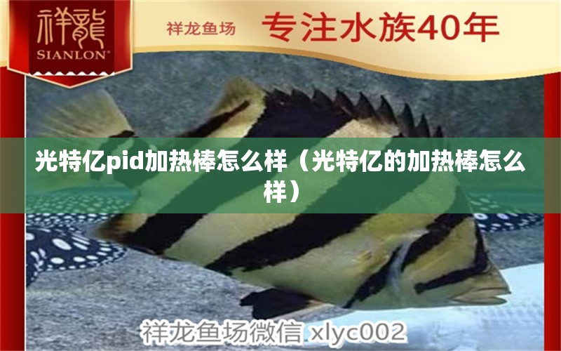 光特億pid加熱棒怎么樣（光特億的加熱棒怎么樣）