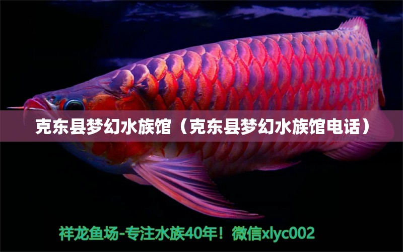 克東縣夢(mèng)幻水族館（克東縣夢(mèng)幻水族館電話） 全國(guó)水族館企業(yè)名錄