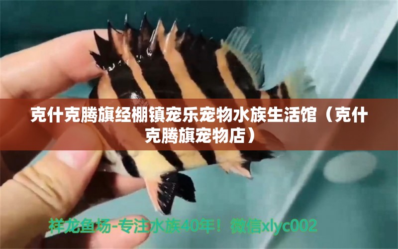 克什克騰旗經(jīng)棚鎮(zhèn)寵樂寵物水族生活館（克什克騰旗寵物店）