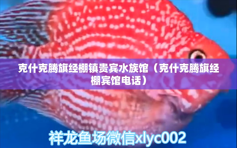 克什克騰旗經棚鎮(zhèn)貴賓水族館（克什克騰旗經棚賓館電話） 全國水族館企業(yè)名錄