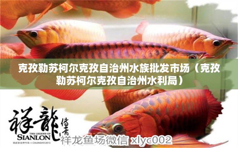 克孜勒蘇柯爾克孜自治州水族批發(fā)市場（克孜勒蘇柯爾克孜自治州水利局）