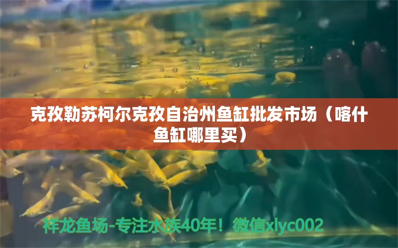 克孜勒蘇柯爾克孜自治州魚缸批發(fā)市場（喀什魚缸哪里買） 觀賞魚水族批發(fā)市場