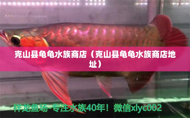 克山縣龜龜水族商店（克山縣龜龜水族商店地址） 烏龜