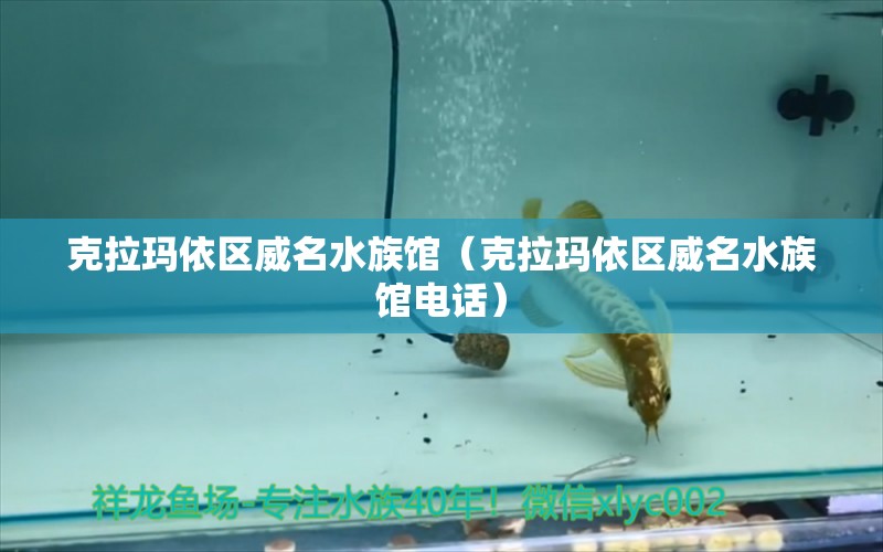 克拉瑪依區(qū)威名水族館（克拉瑪依區(qū)威名水族館電話）