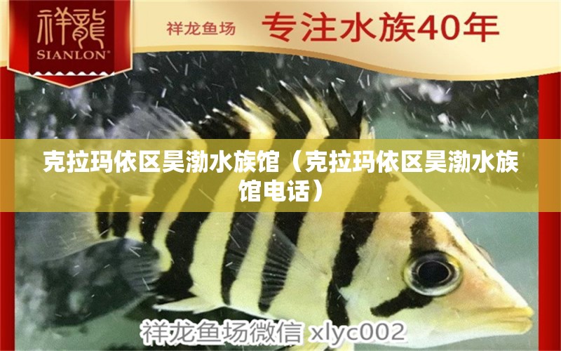 克拉瑪依區(qū)昊渤水族館（克拉瑪依區(qū)昊渤水族館電話）