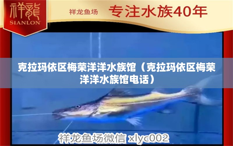 克拉瑪依區(qū)梅榮洋洋水族館（克拉瑪依區(qū)梅榮洋洋水族館電話）