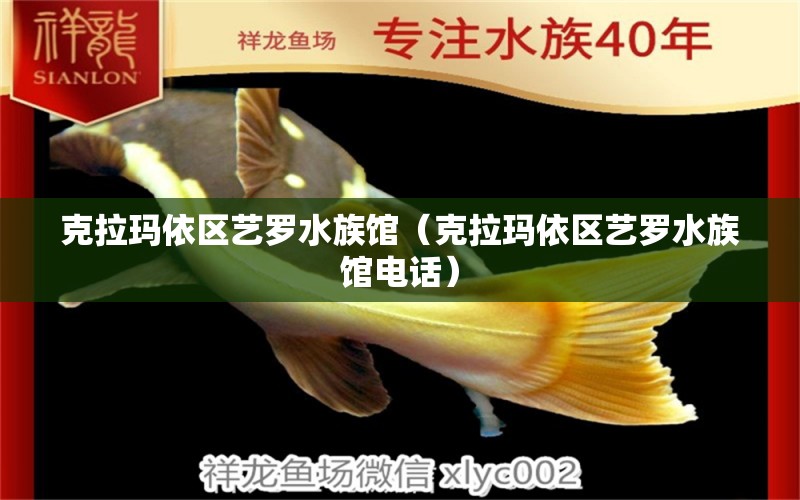 克拉瑪依區(qū)藝羅水族館（克拉瑪依區(qū)藝羅水族館電話）