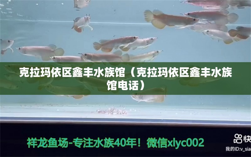 克拉瑪依區(qū)鑫豐水族館（克拉瑪依區(qū)鑫豐水族館電話） 全國(guó)水族館企業(yè)名錄