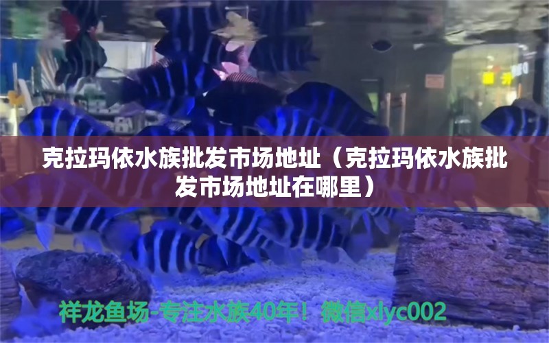 克拉瑪依水族批發(fā)市場(chǎng)地址（克拉瑪依水族批發(fā)市場(chǎng)地址在哪里）