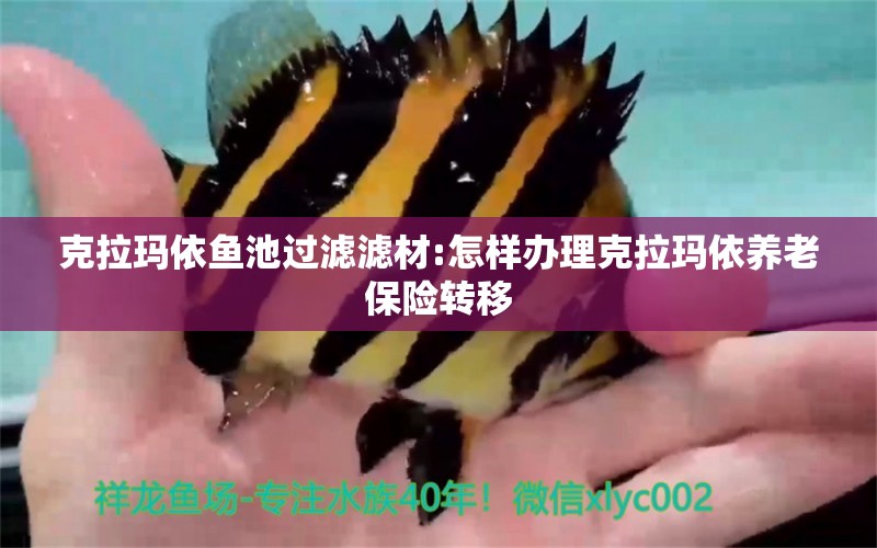 克拉瑪依魚池過濾濾材:怎樣辦理克拉瑪依養(yǎng)老保險轉(zhuǎn)移 廣州水族器材濾材批發(fā)市場