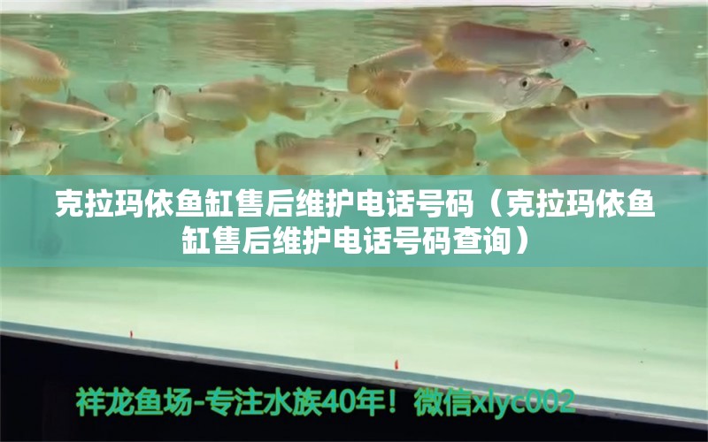 克拉瑪依魚缸售后維護(hù)電話號碼（克拉瑪依魚缸售后維護(hù)電話號碼查詢）