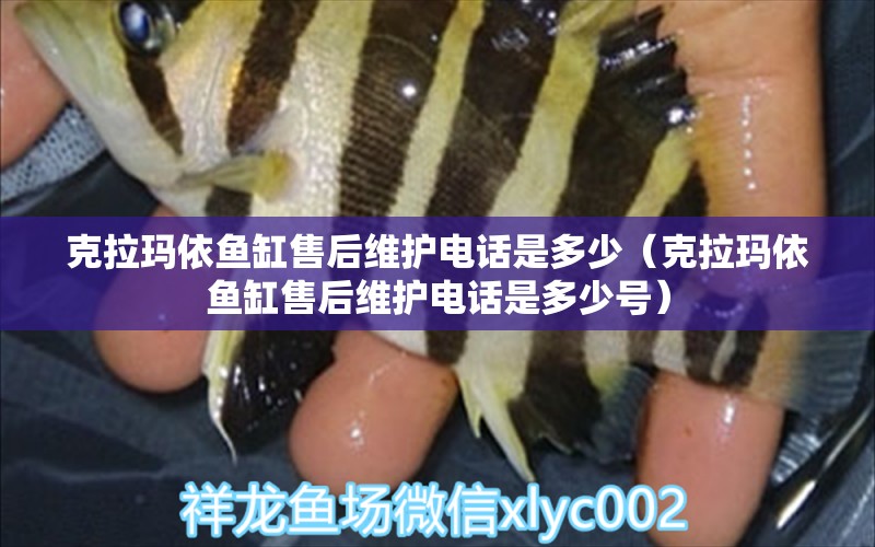 克拉瑪依魚缸售后維護(hù)電話是多少（克拉瑪依魚缸售后維護(hù)電話是多少號）