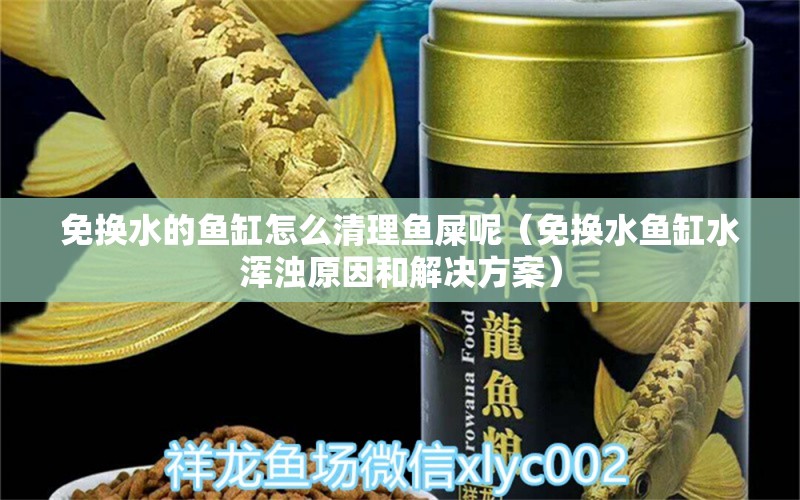 免換水的魚缸怎么清理魚屎呢（免換水魚缸水渾濁原因和解決方案） 和尚魚