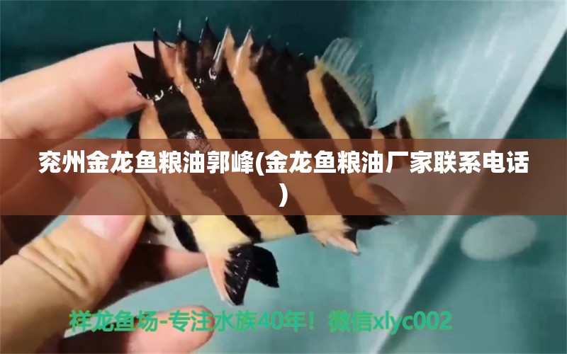 兗州金龍魚糧油郭峰(金龍魚糧油廠家聯(lián)系電話)