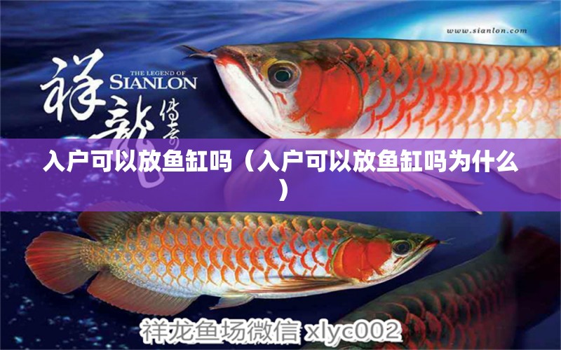 入戶可以放魚缸嗎（入戶可以放魚缸嗎為什么）