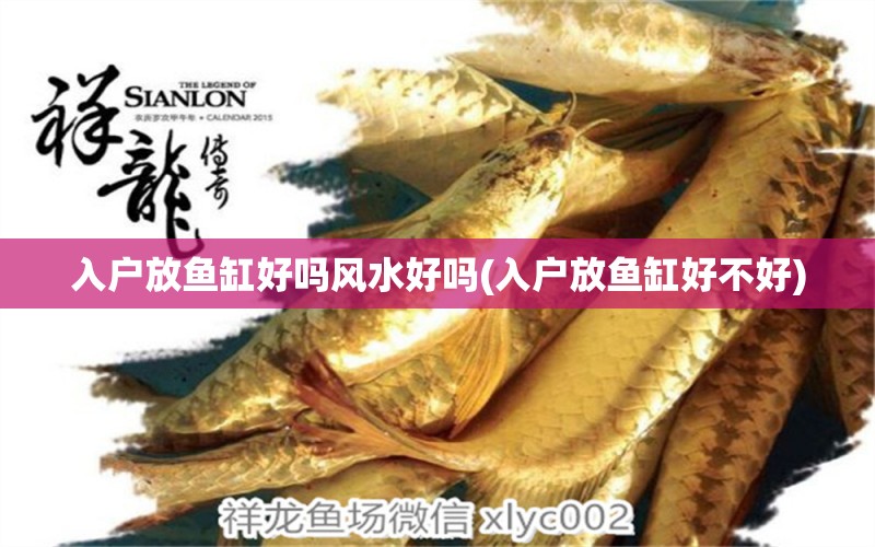 入戶放魚缸好嗎風(fēng)水好嗎(入戶放魚缸好不好) 魚缸風(fēng)水