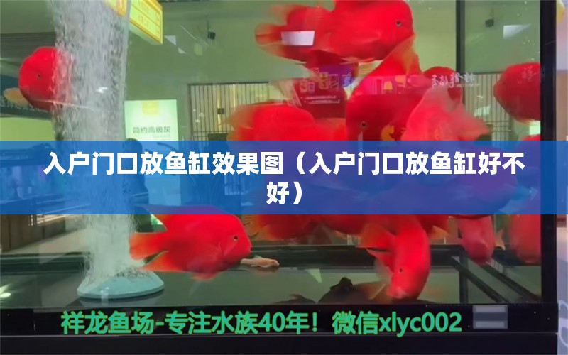 入戶門口放魚缸效果圖（入戶門口放魚缸好不好） 彩鰈魚缸（彩蝶魚缸）