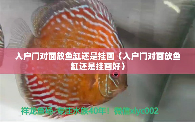 入戶門對(duì)面放魚缸還是掛畫（入戶門對(duì)面放魚缸還是掛畫好）