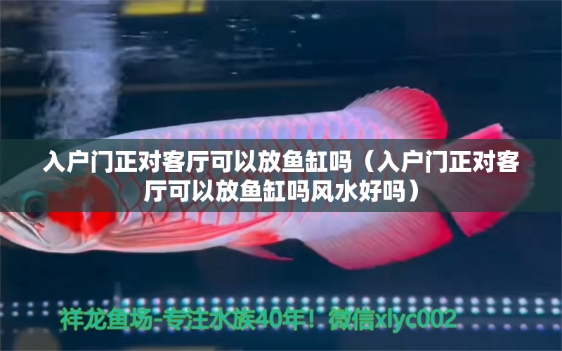 入戶門正對客廳可以放魚缸嗎（入戶門正對客廳可以放魚缸嗎風水好嗎）