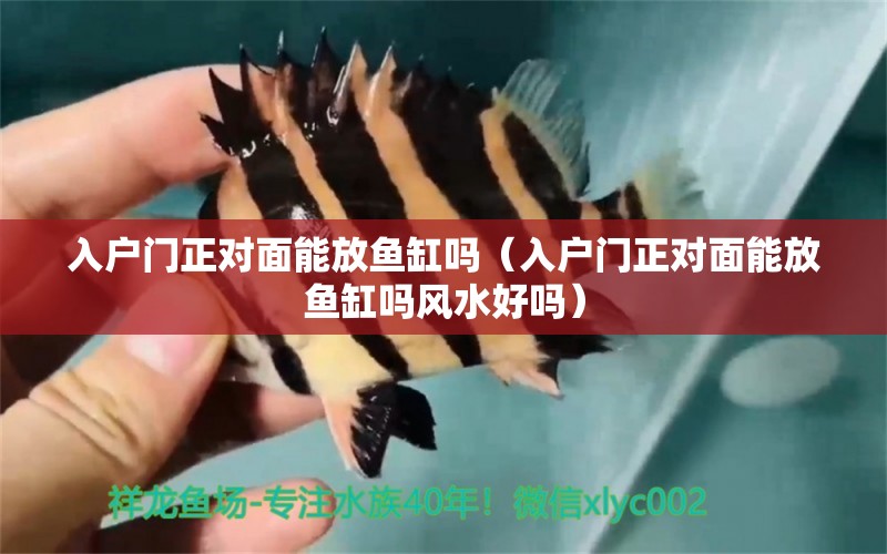 入戶門正對面能放魚缸嗎（入戶門正對面能放魚缸嗎風水好嗎）