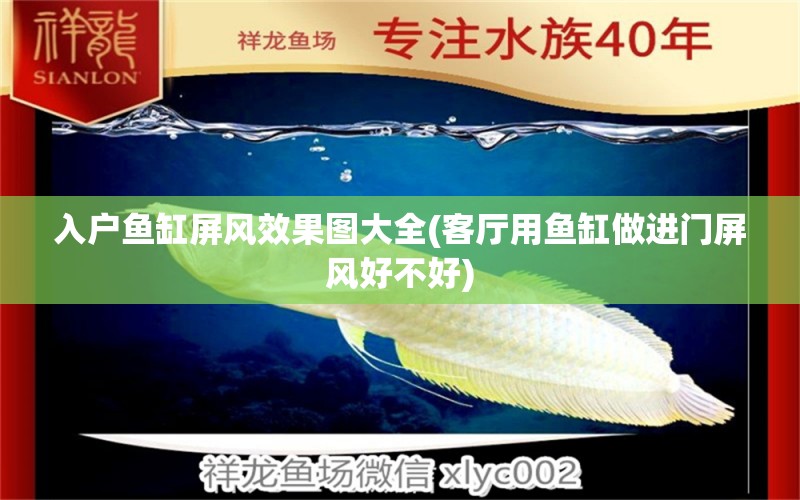 入戶魚缸屏風效果圖大全(客廳用魚缸做進門屏風好不好) 水族品牌 第1張