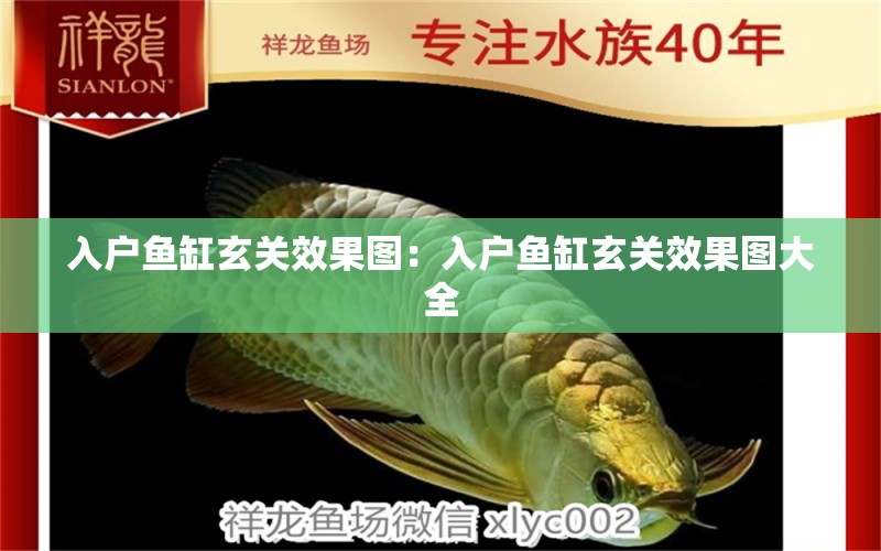 入戶魚缸玄關效果圖：入戶魚缸玄關效果圖大全