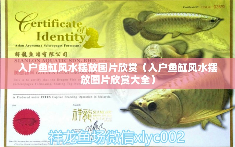 入戶魚缸風(fēng)水擺放圖片欣賞（入戶魚缸風(fēng)水擺放圖片欣賞大全）