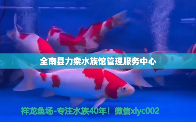 全南縣力索水族館管理服務中心