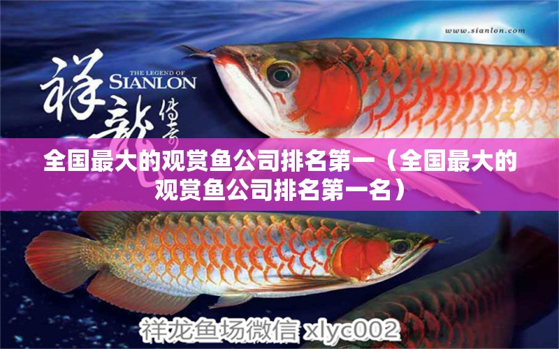 全國最大的觀賞魚公司排名第一（全國最大的觀賞魚公司排名第一名）