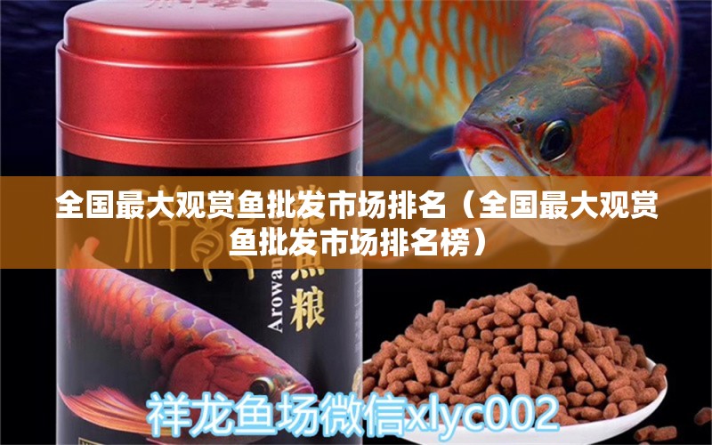 全國最大觀賞魚批發(fā)市場排名（全國最大觀賞魚批發(fā)市場排名榜） 觀賞魚批發(fā)