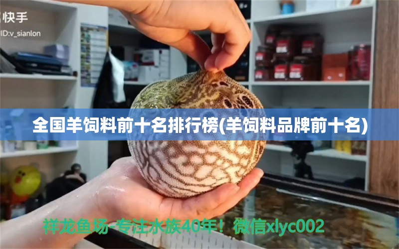 全國(guó)羊飼料前十名排行榜(羊飼料品牌前十名) 七紋巨鯉魚