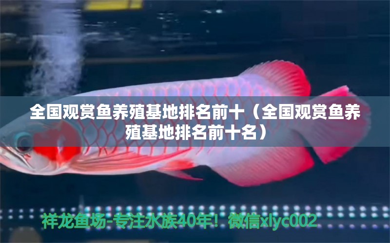 全國觀賞魚養(yǎng)殖基地排名前十（全國觀賞魚養(yǎng)殖基地排名前十名） B級過背金龍魚