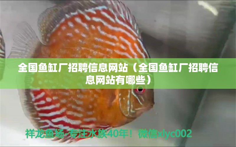 全國(guó)魚缸廠招聘信息網(wǎng)站（全國(guó)魚缸廠招聘信息網(wǎng)站有哪些）