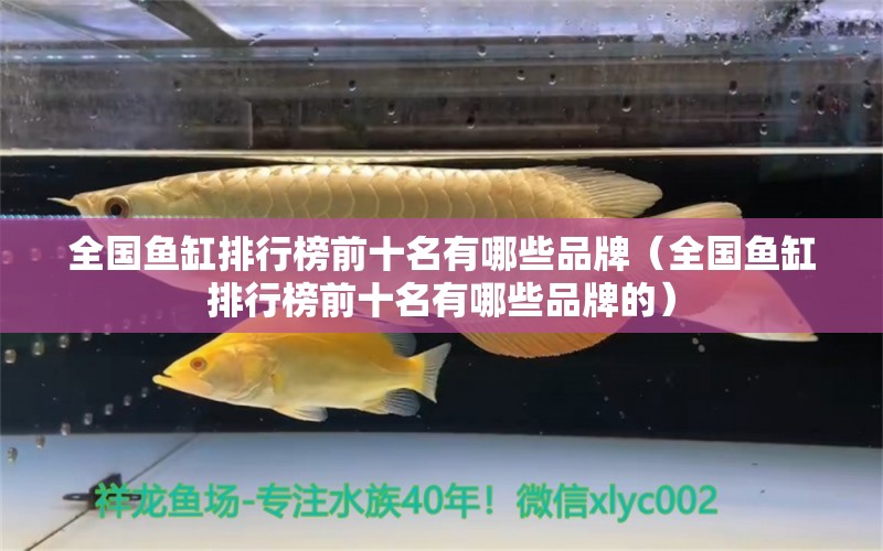 全國魚缸排行榜前十名有哪些品牌（全國魚缸排行榜前十名有哪些品牌的）