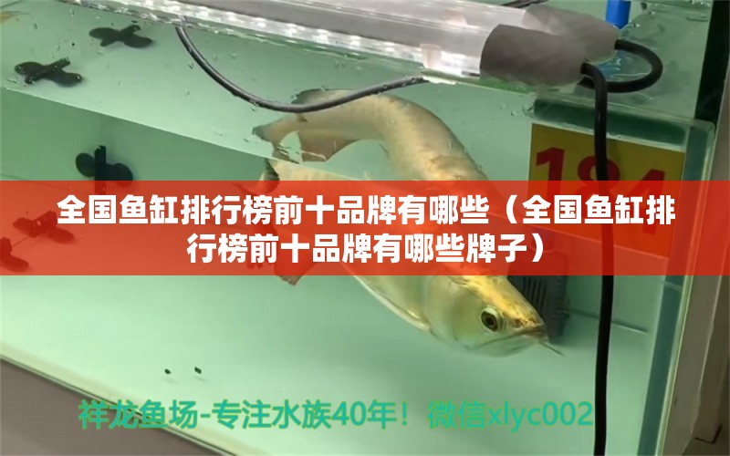 全國(guó)魚缸排行榜前十品牌有哪些（全國(guó)魚缸排行榜前十品牌有哪些牌子）