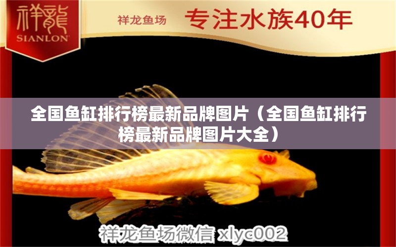 全國(guó)魚(yú)缸排行榜最新品牌圖片（全國(guó)魚(yú)缸排行榜最新品牌圖片大全）