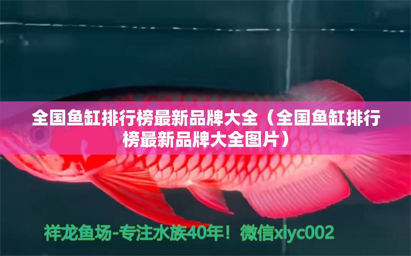 全國(guó)魚缸排行榜最新品牌大全（全國(guó)魚缸排行榜最新品牌大全圖片） 其他品牌魚缸