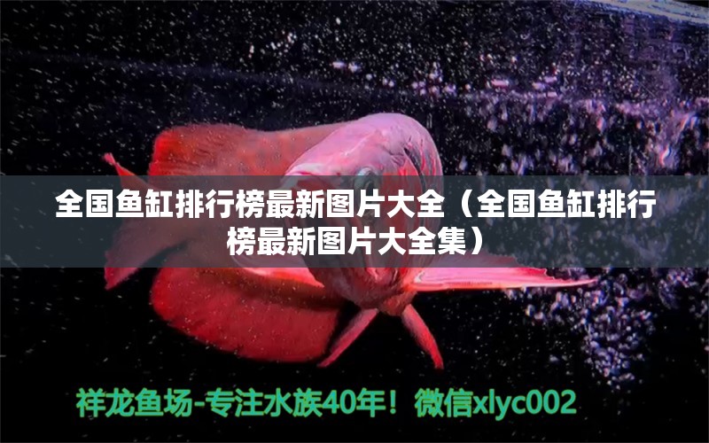 全國魚缸排行榜最新圖片大全（全國魚缸排行榜最新圖片大全集）